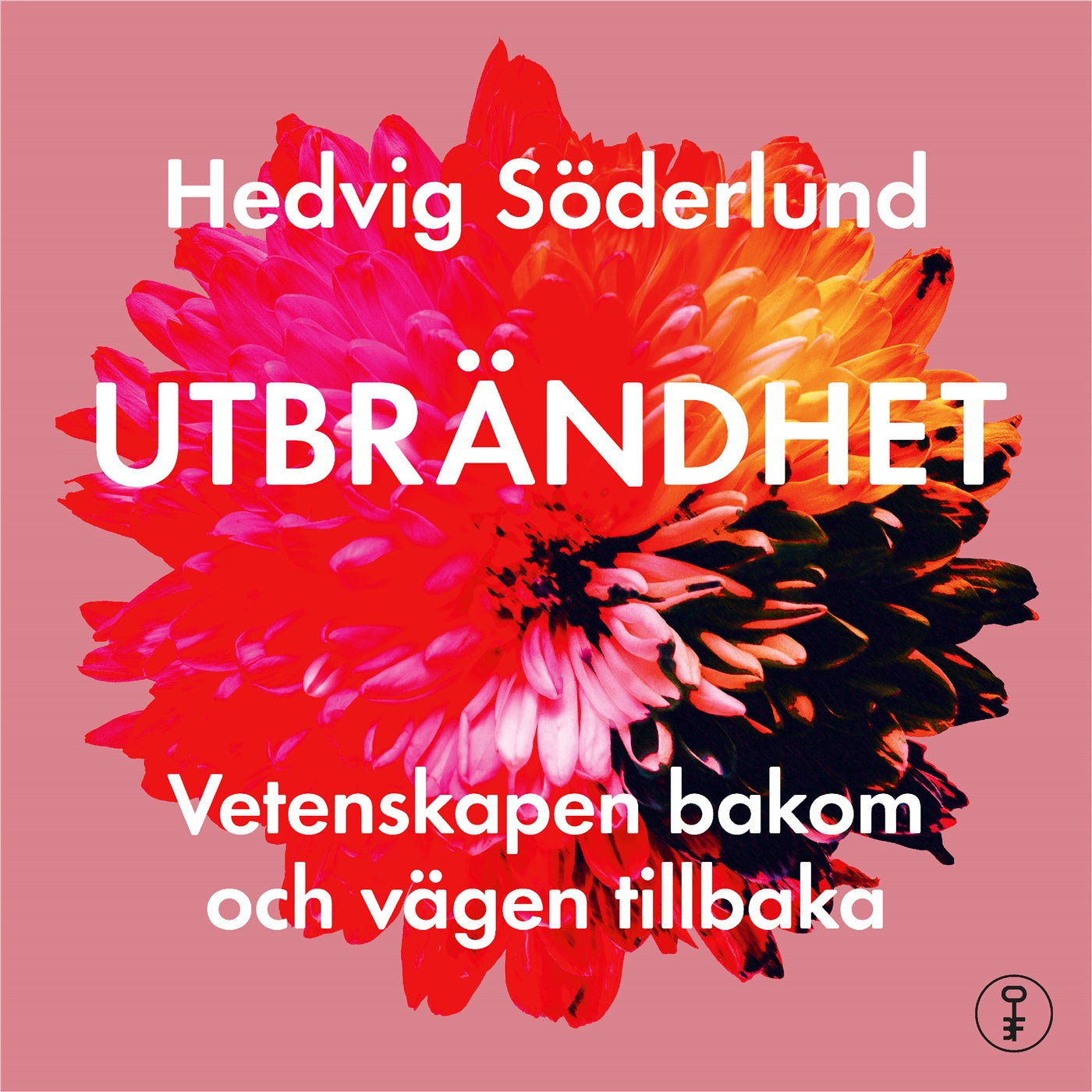Den utbrända hjärnforskaren : personliga erfarenheter, fakta och vägen till läkning – Ljudbok