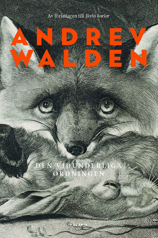 Den vidunderliga ordningen – E-bok