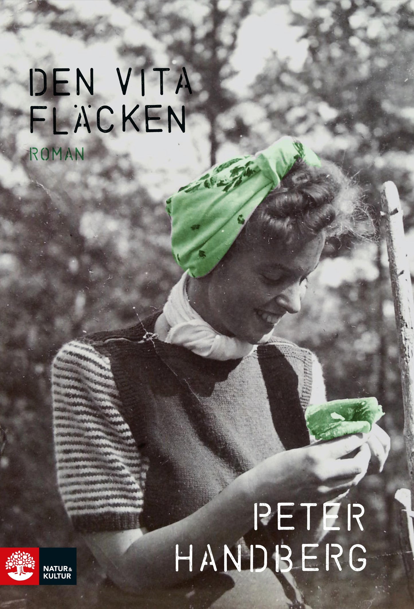 Den vita fläcken – E-bok