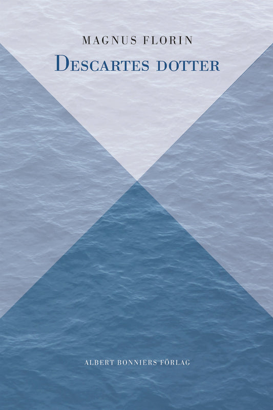 Descartes dotter – E-bok