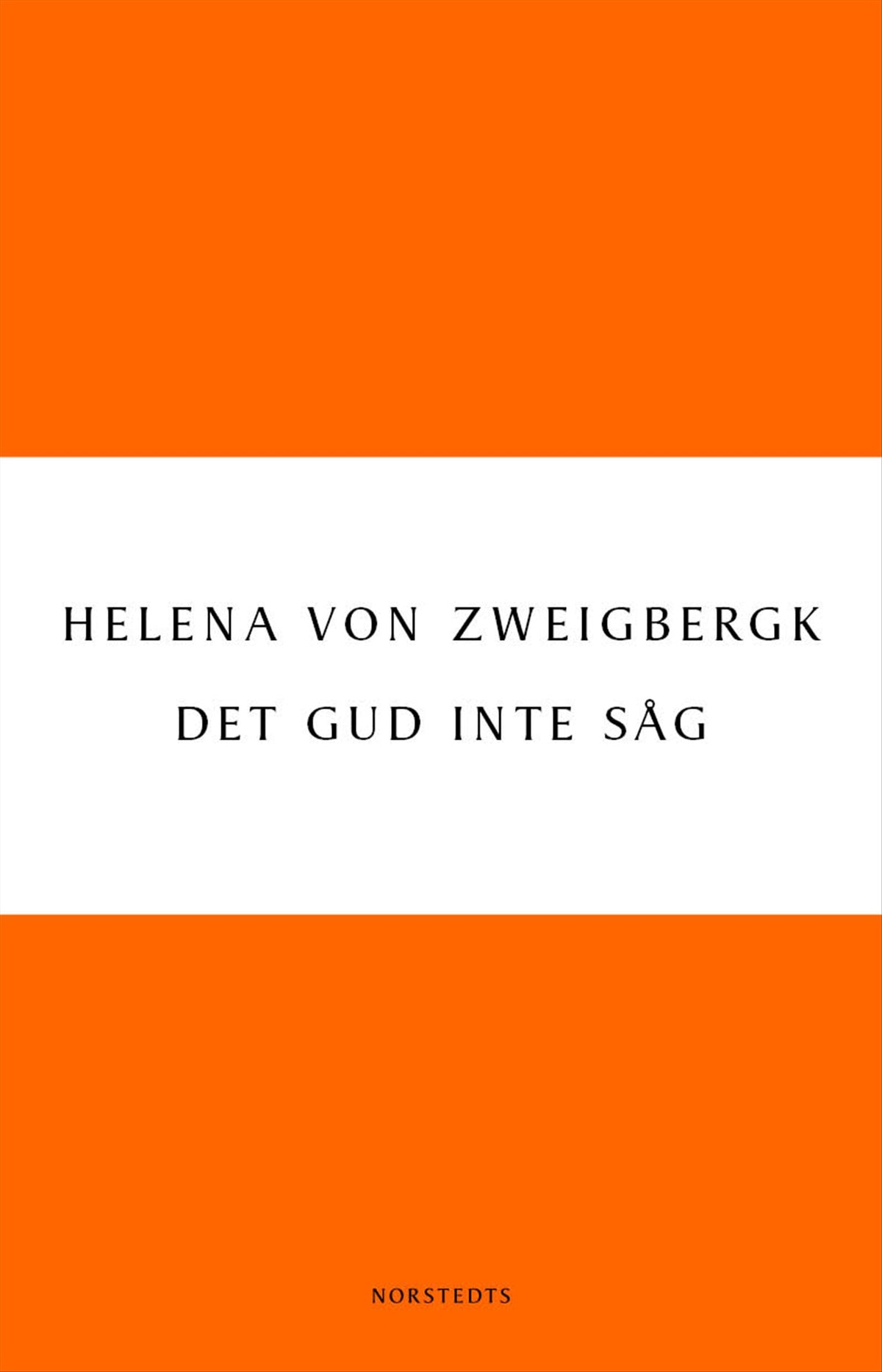 Det Gud inte såg – E-bok