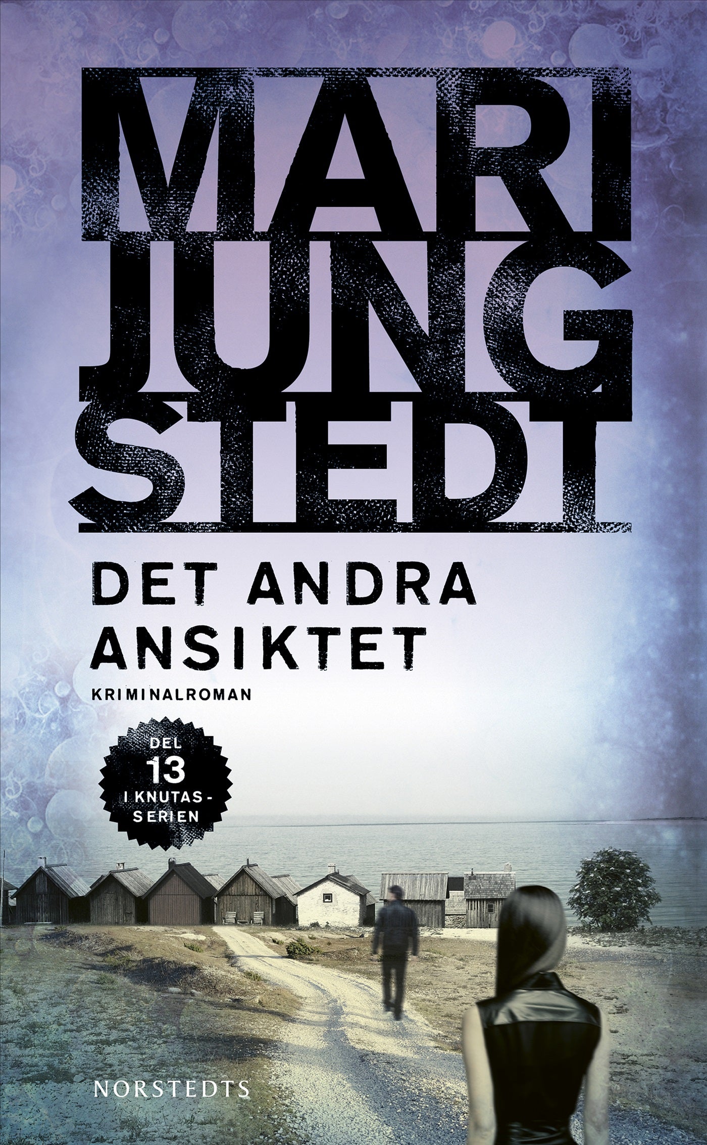 Det andra ansiktet – E-bok