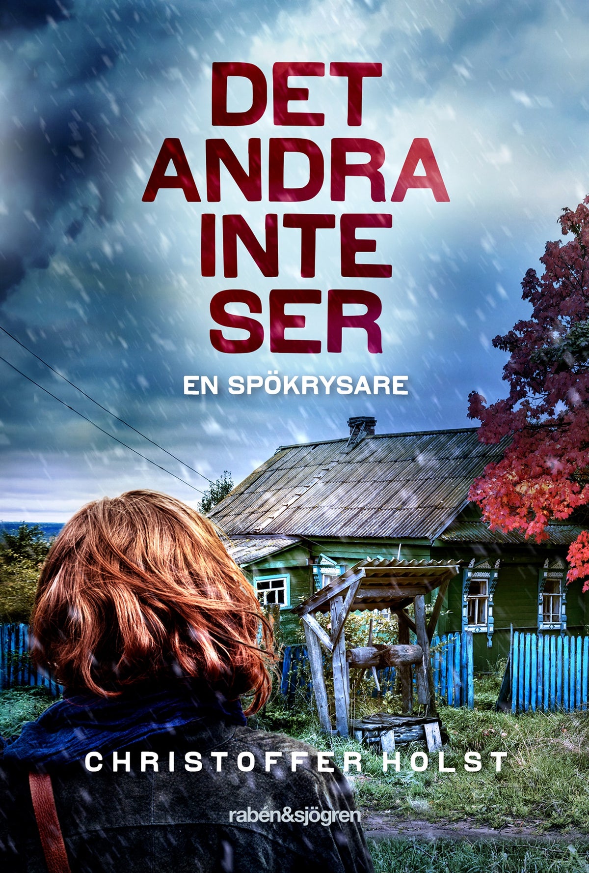 Det andra inte ser – E-bok