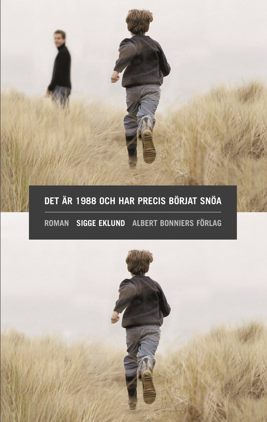 Det är 1988 och har precis börjat snöa – E-bok