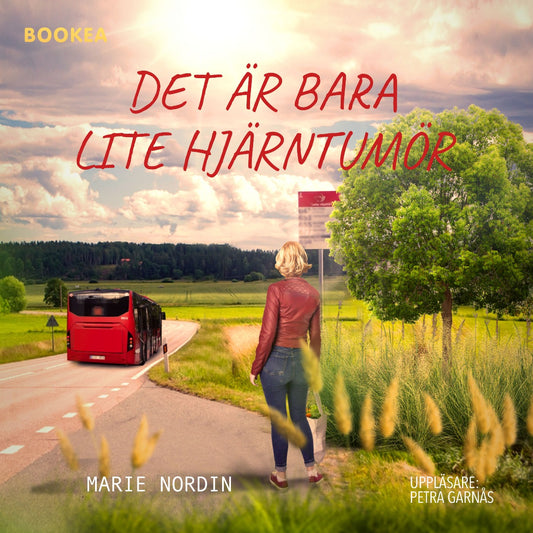 Det är bara lite hjärntumör – Ljudbok
