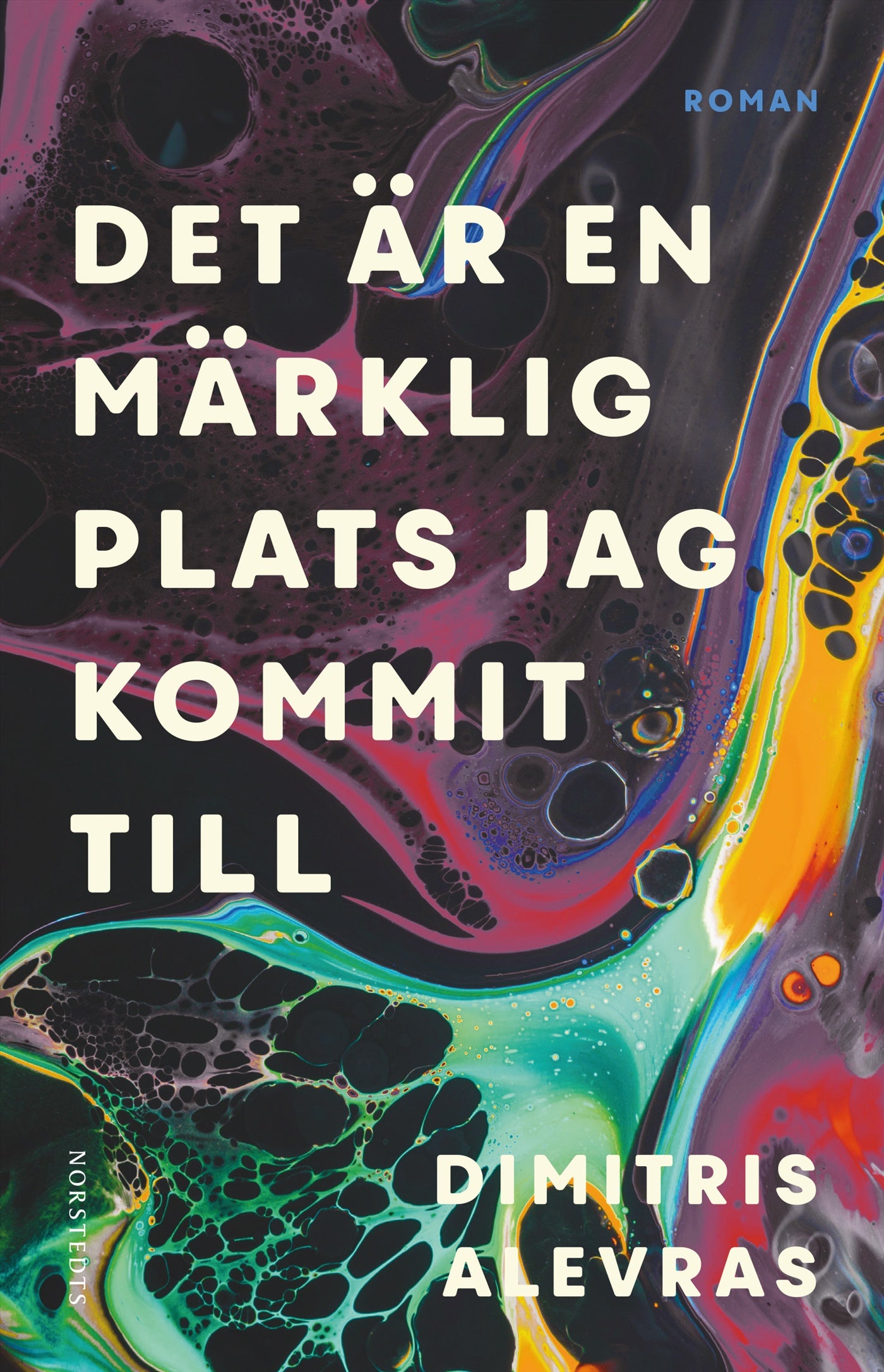 Det är en märklig plats jag kommit till – E-bok