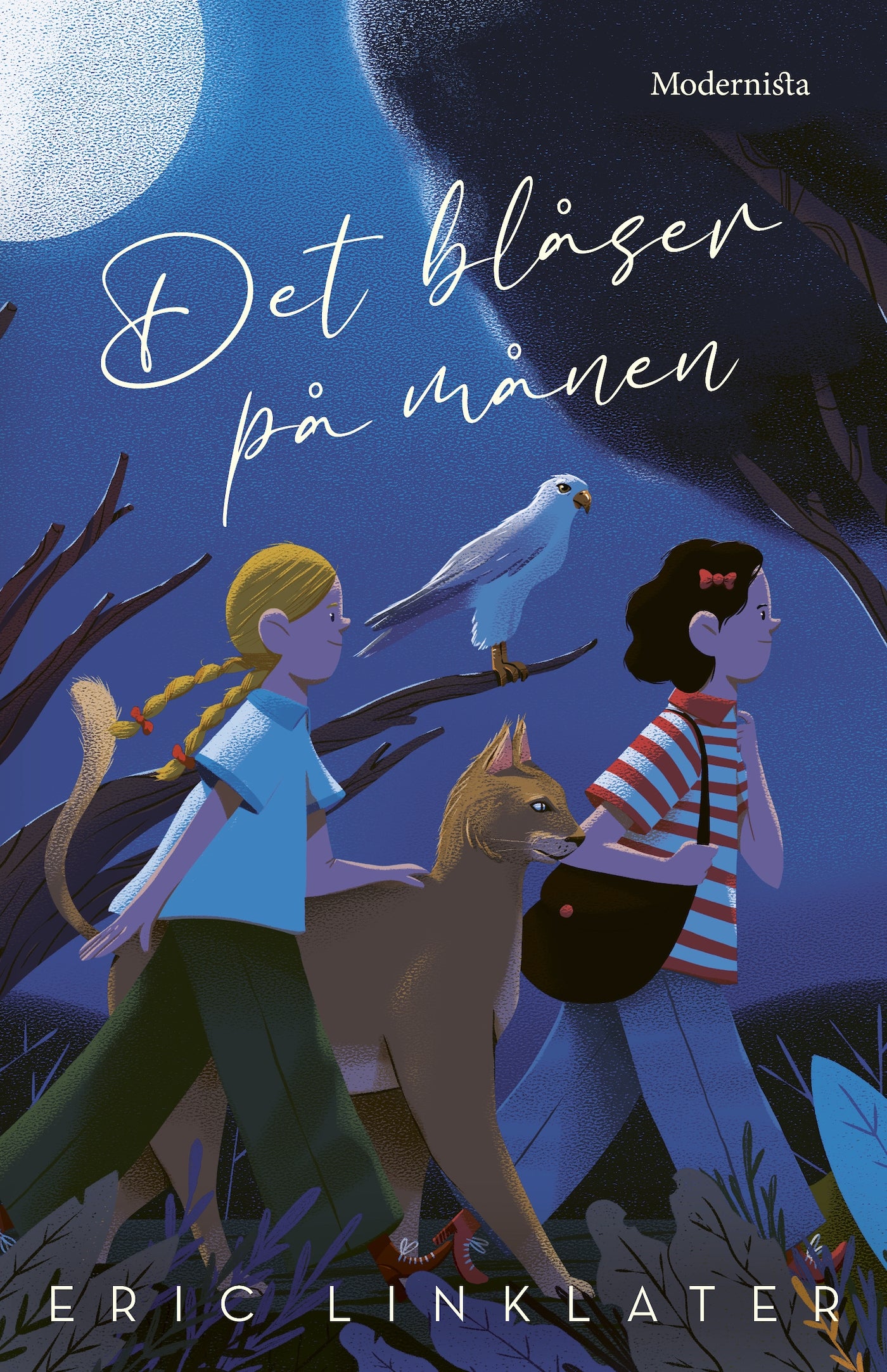 Det blåser på månen – E-bok