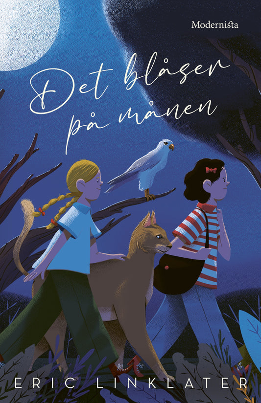 Det blåser på månen – E-bok