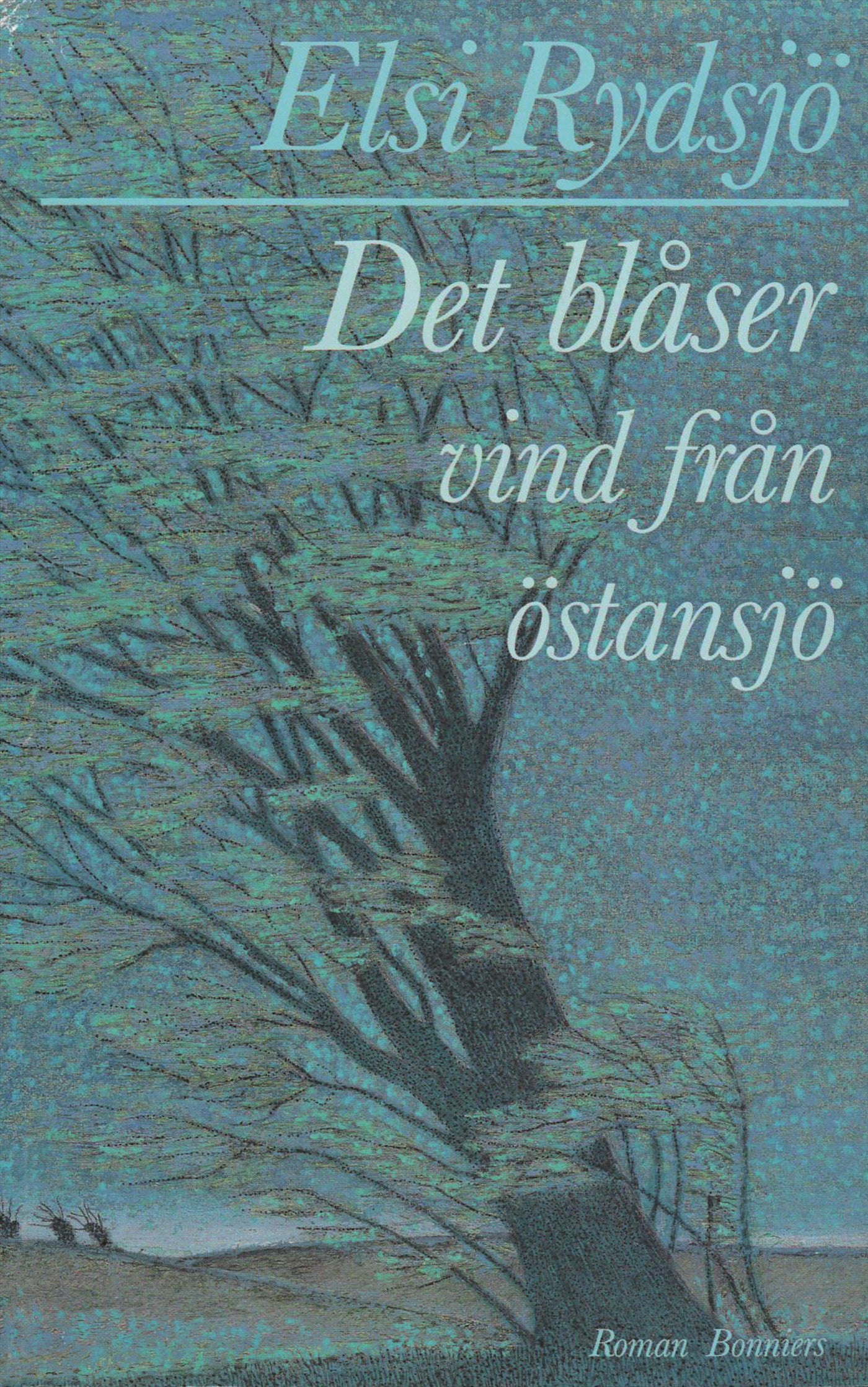 Det blåser vind från östansjö – E-bok