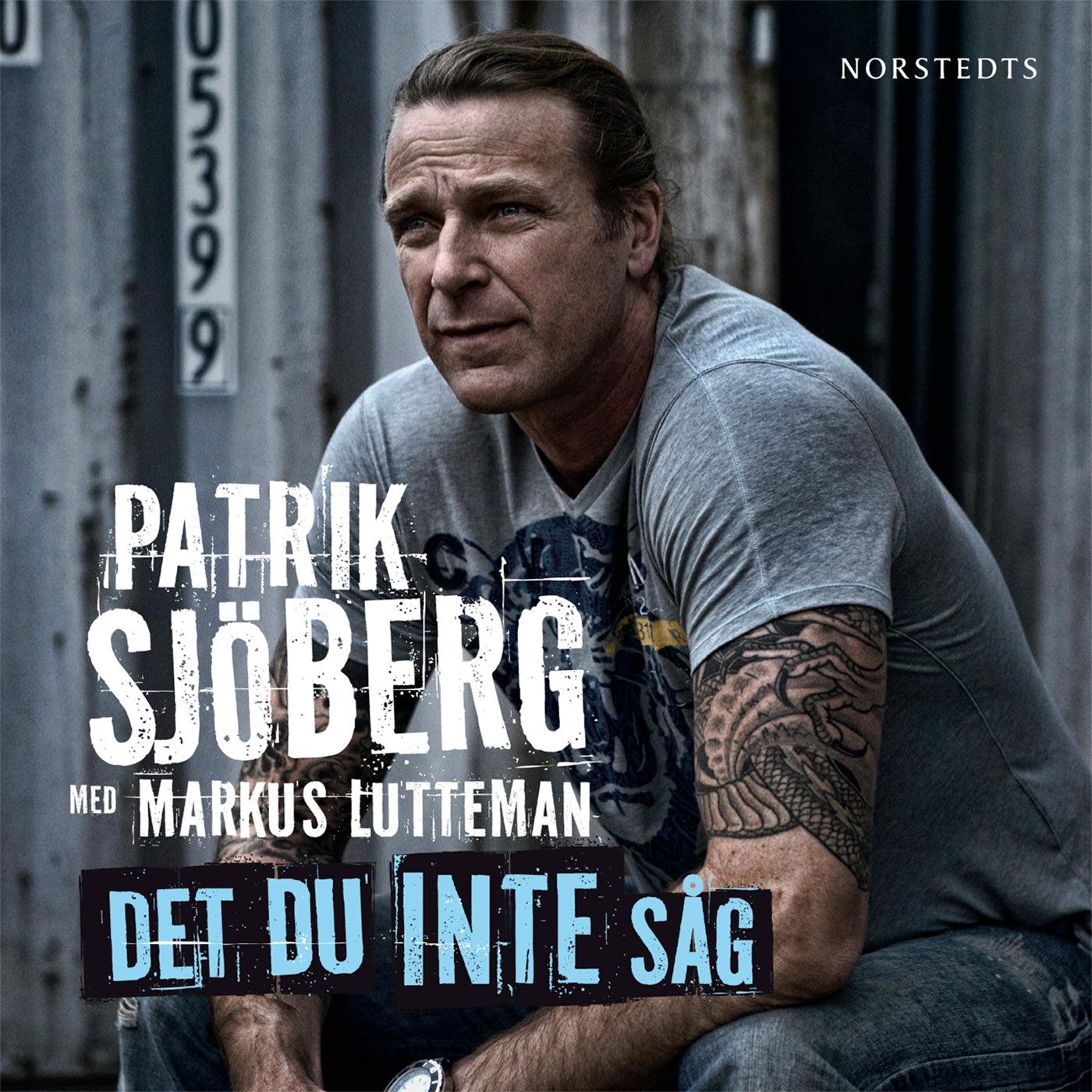 Det du inte såg – Ljudbok