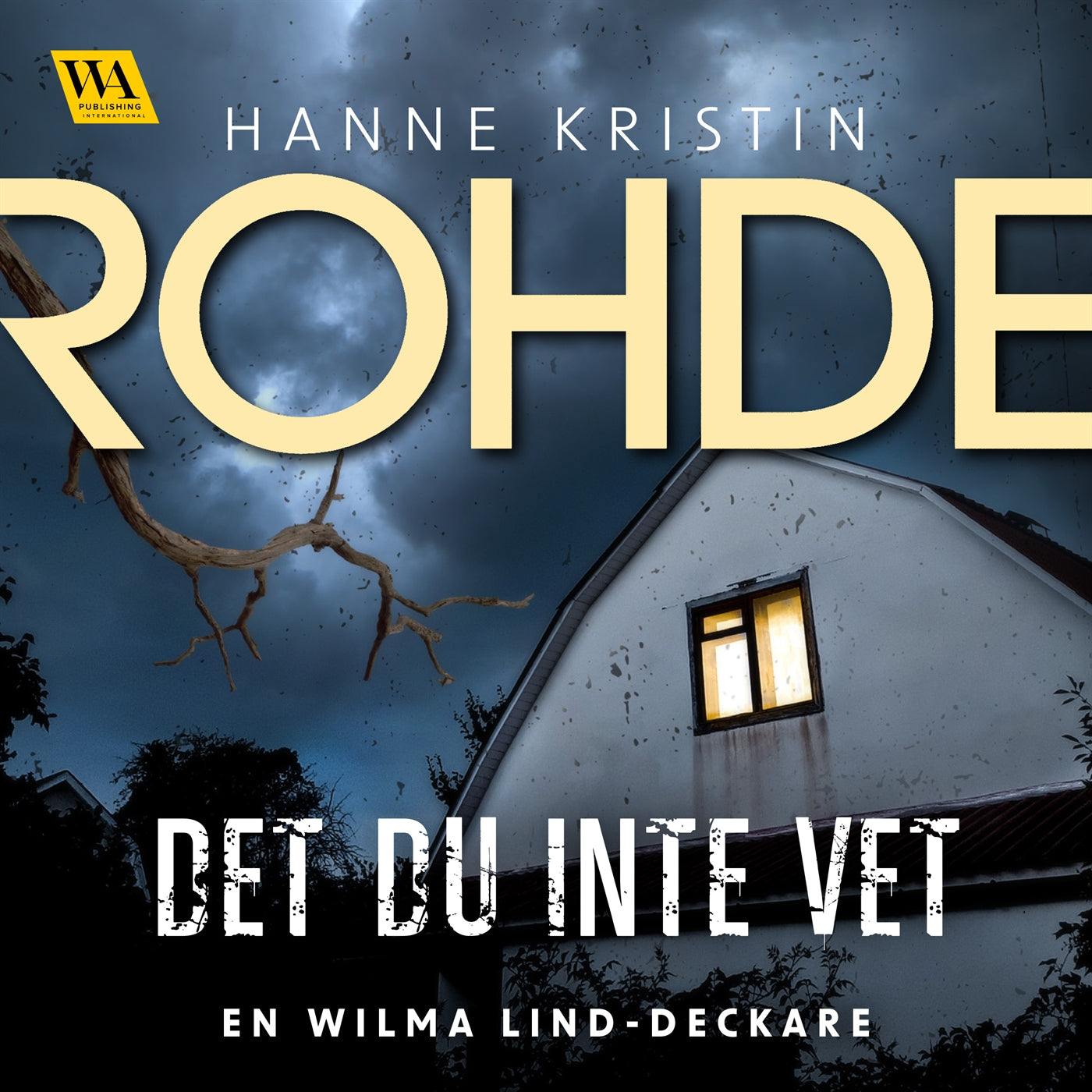 Det du inte vet – Ljudbok