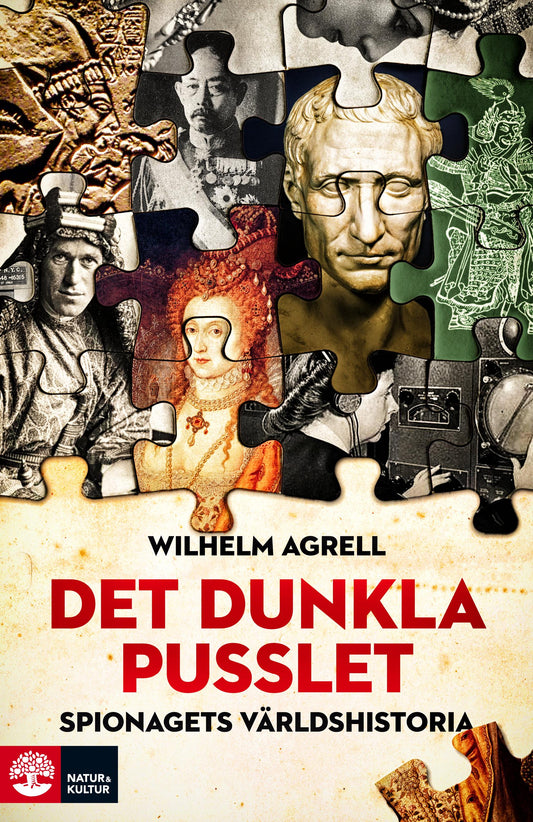 Det dunkla pusslet : Spionagets världshistoria – E-bok