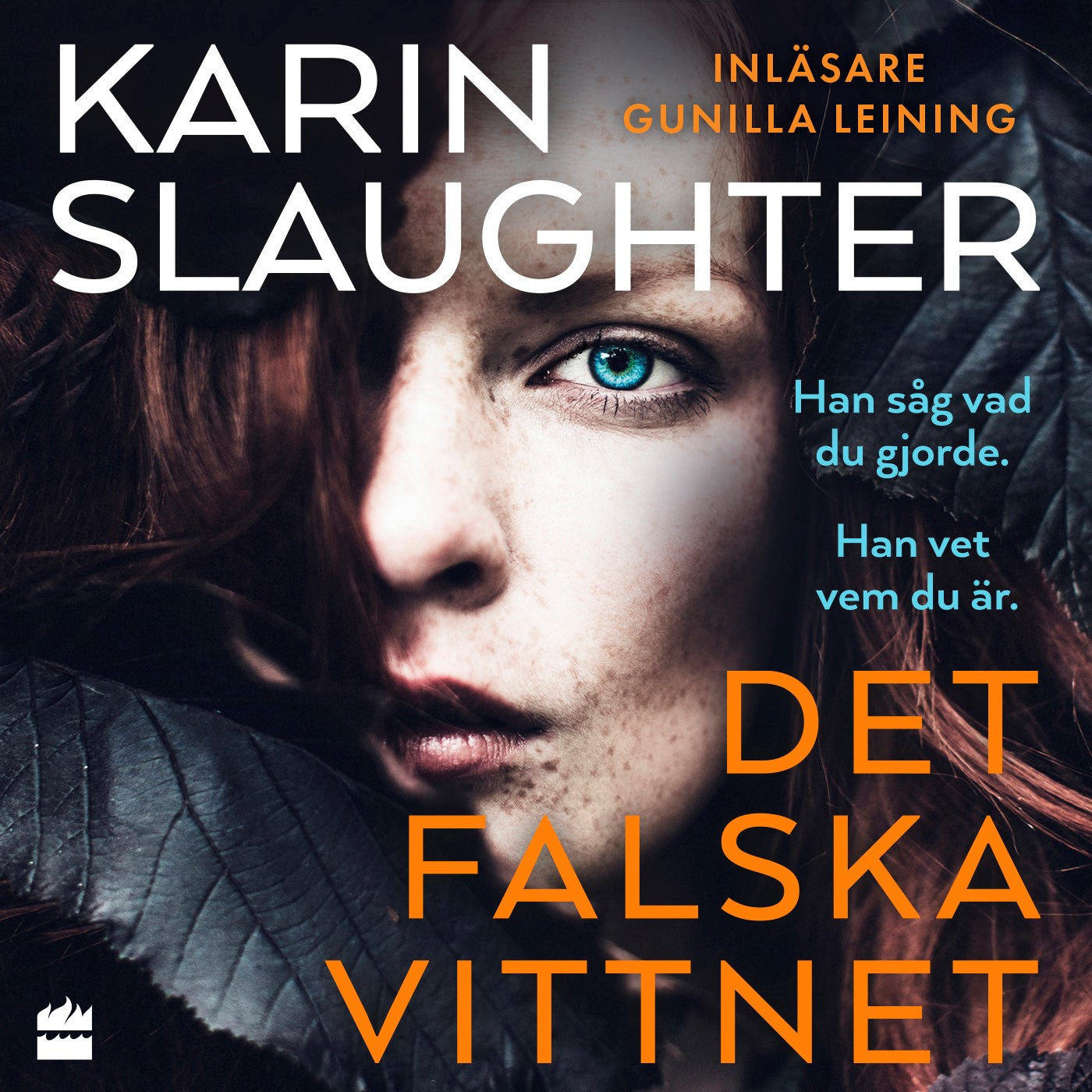 Det falska vittnet – Ljudbok