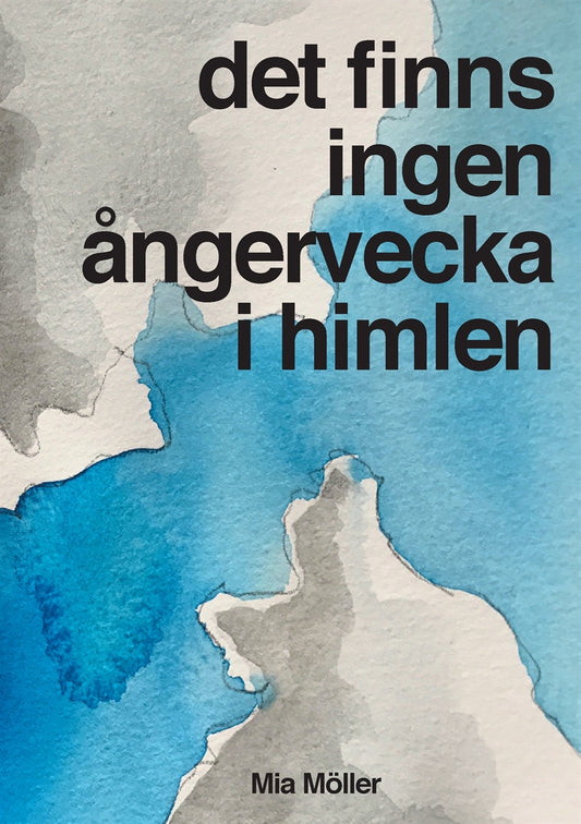 Det finns ingen ångervecka i himlen – E-bok