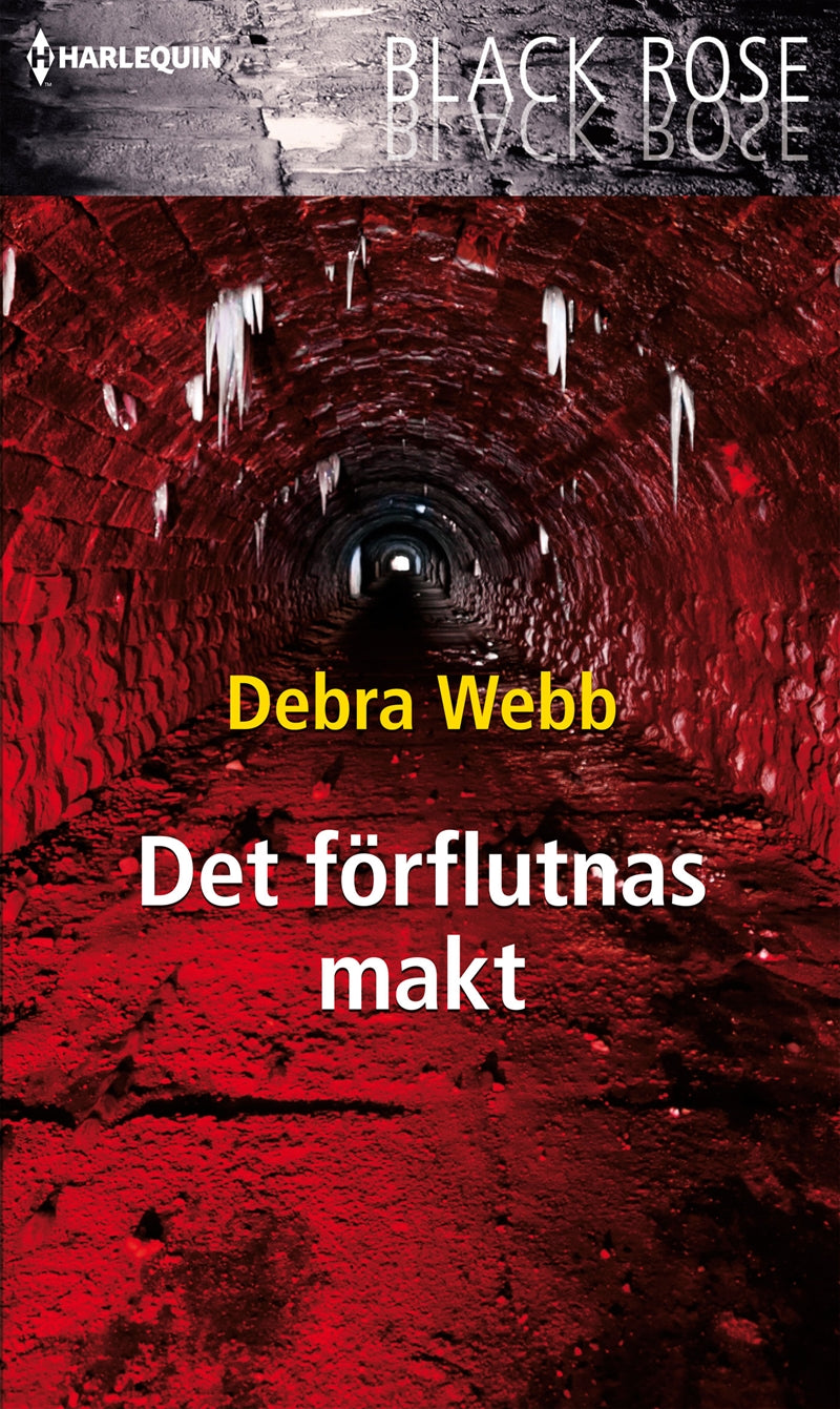 Det förflutnas makt – E-bok
