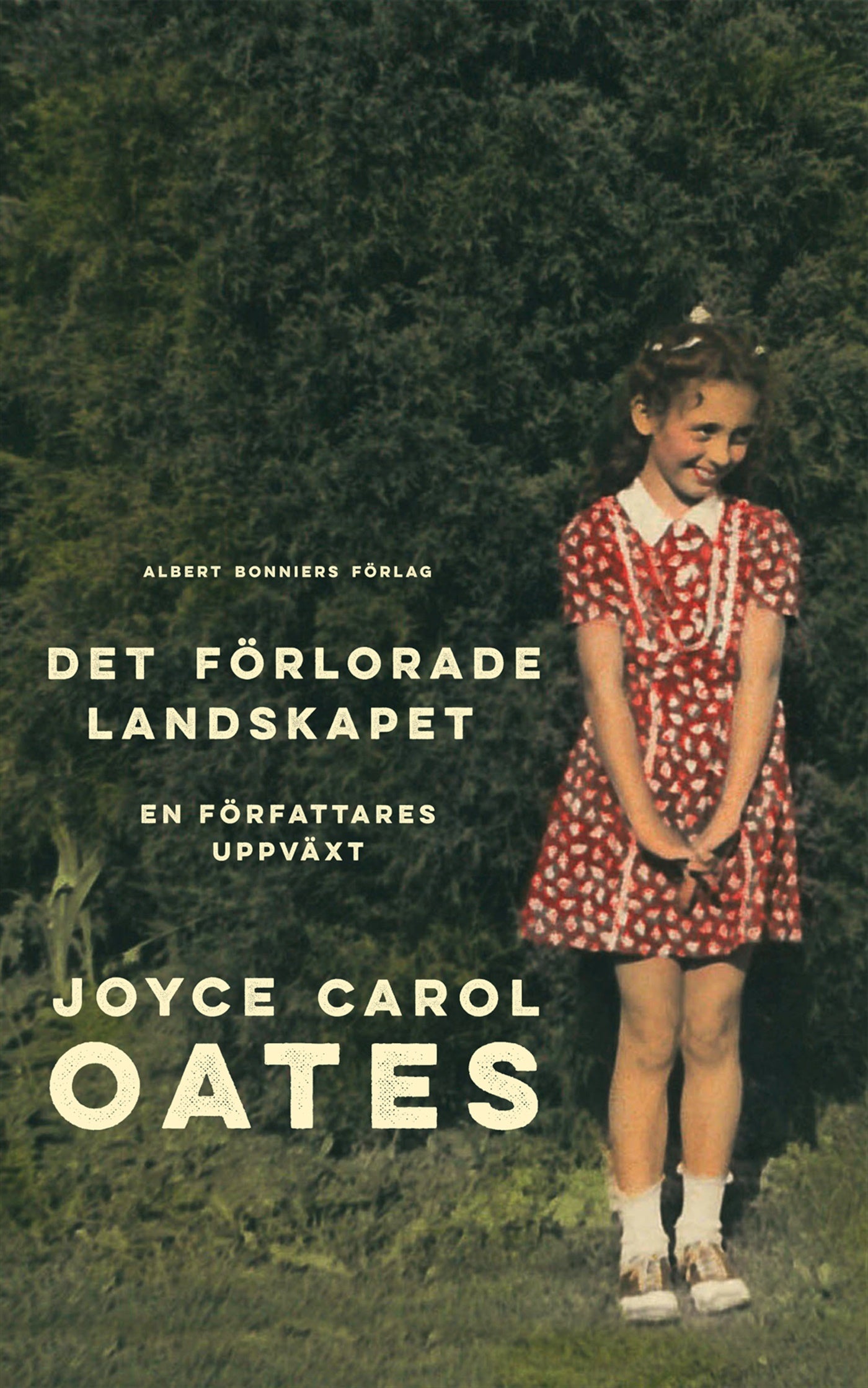 Det förlorade landskapet : en författares uppväxt – E-bok