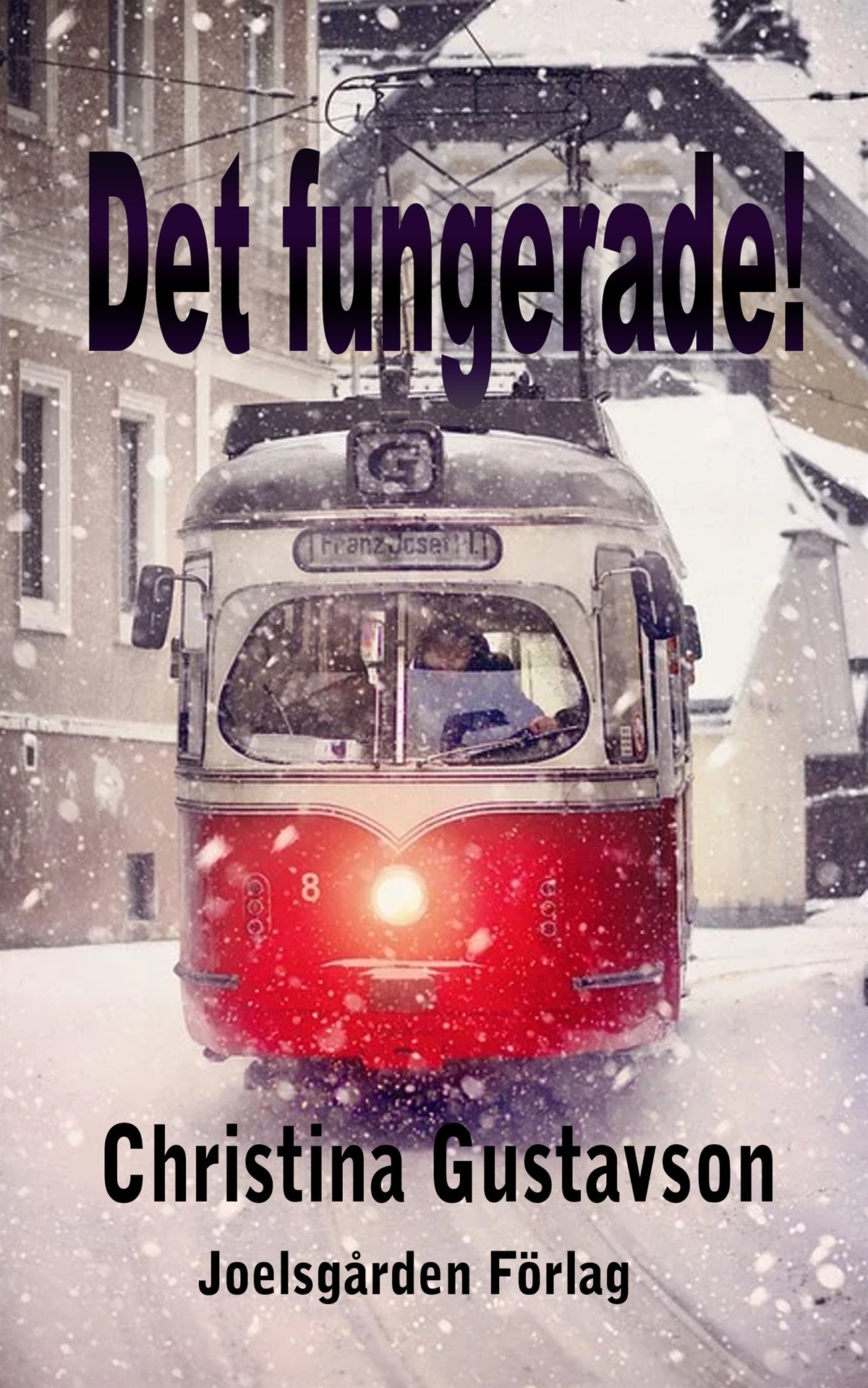 Det fungerade! – E-bok