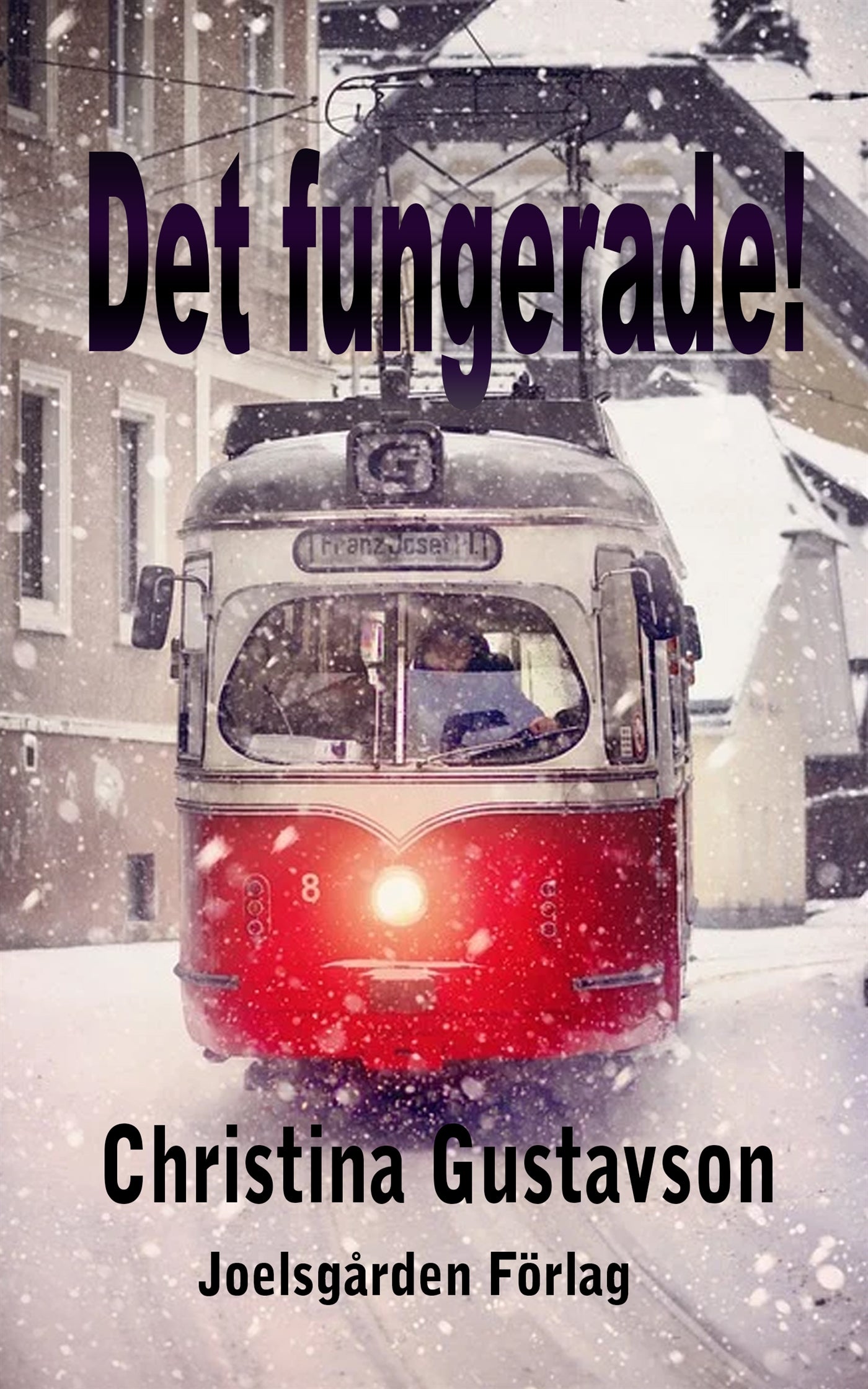 Det fungerade! – E-bok