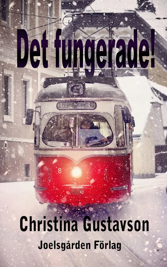 Det fungerade! – E-bok