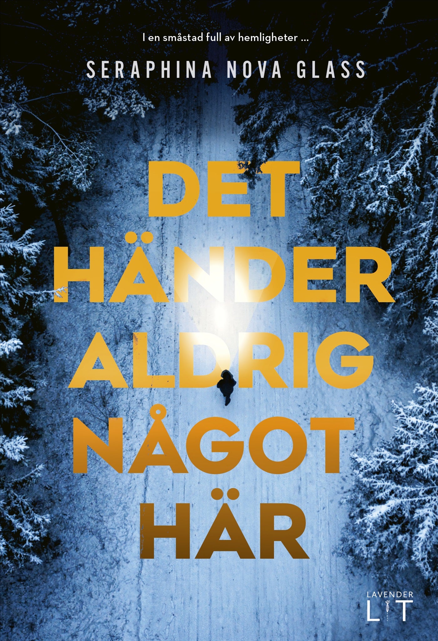 Det händer aldrig något här – E-bok