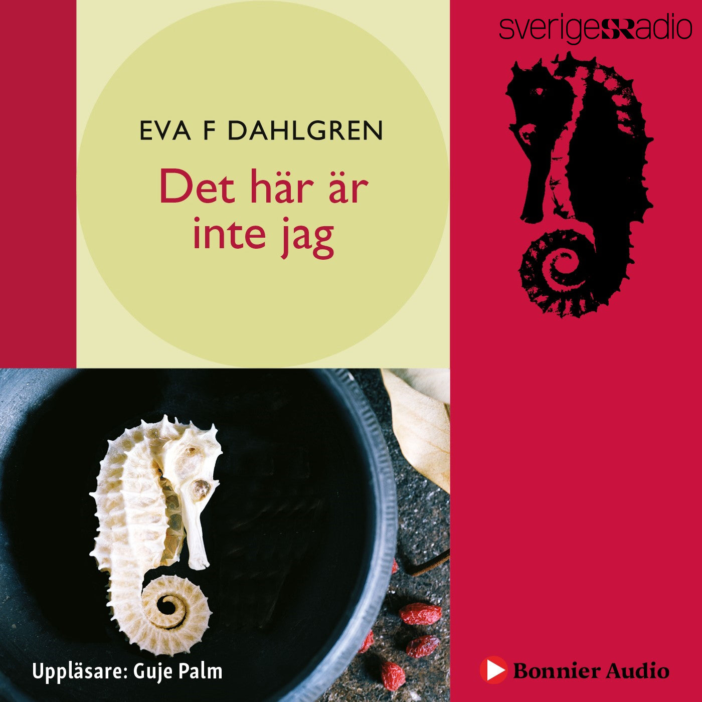 Det här är inte jag : en dokumentärroman – Ljudbok