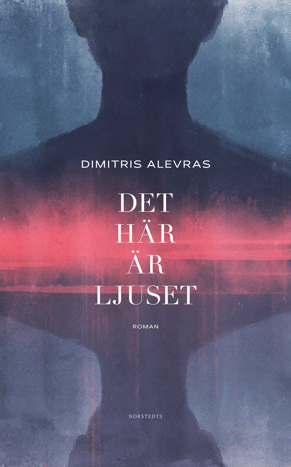 Det här är ljuset – E-bok
