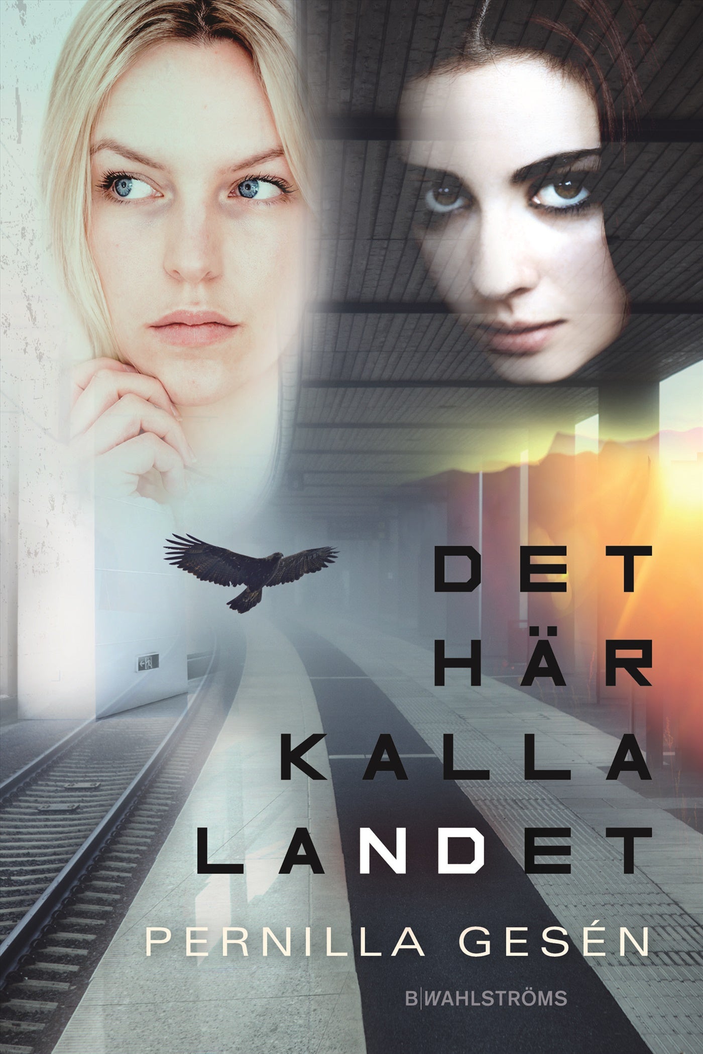 Det här kalla landet – E-bok