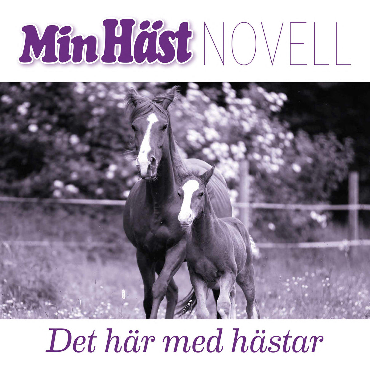 Det här med hästar – Ljudbok