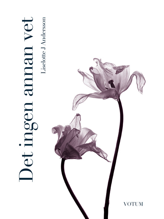 Det ingen annan vet – Ljudbok