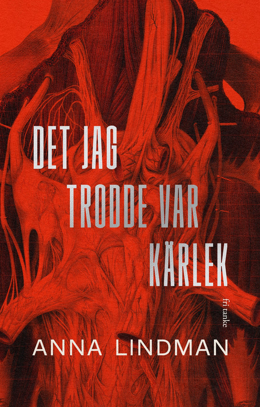 Det jag trodde var kärlek : En bok om psykiskt våld – E-bok