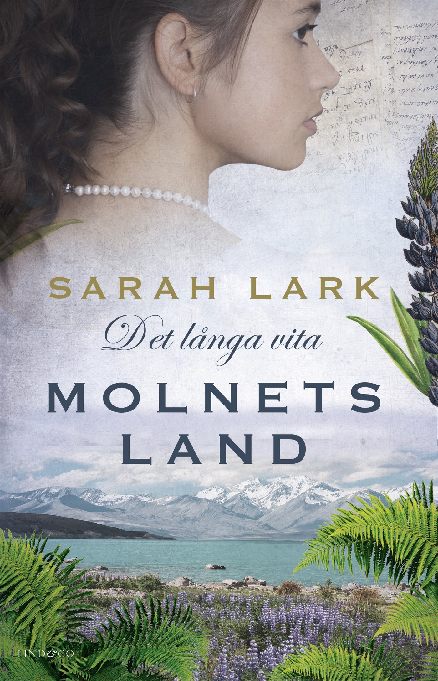 Det långa vita molnets land – E-bok