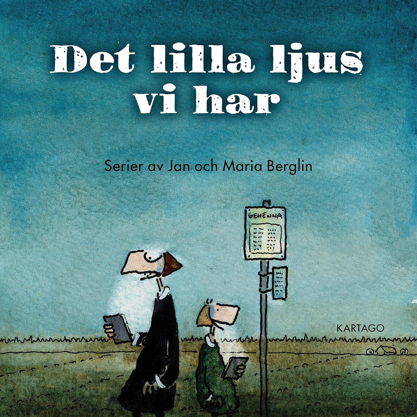 Det lilla ljus vi har – E-bok