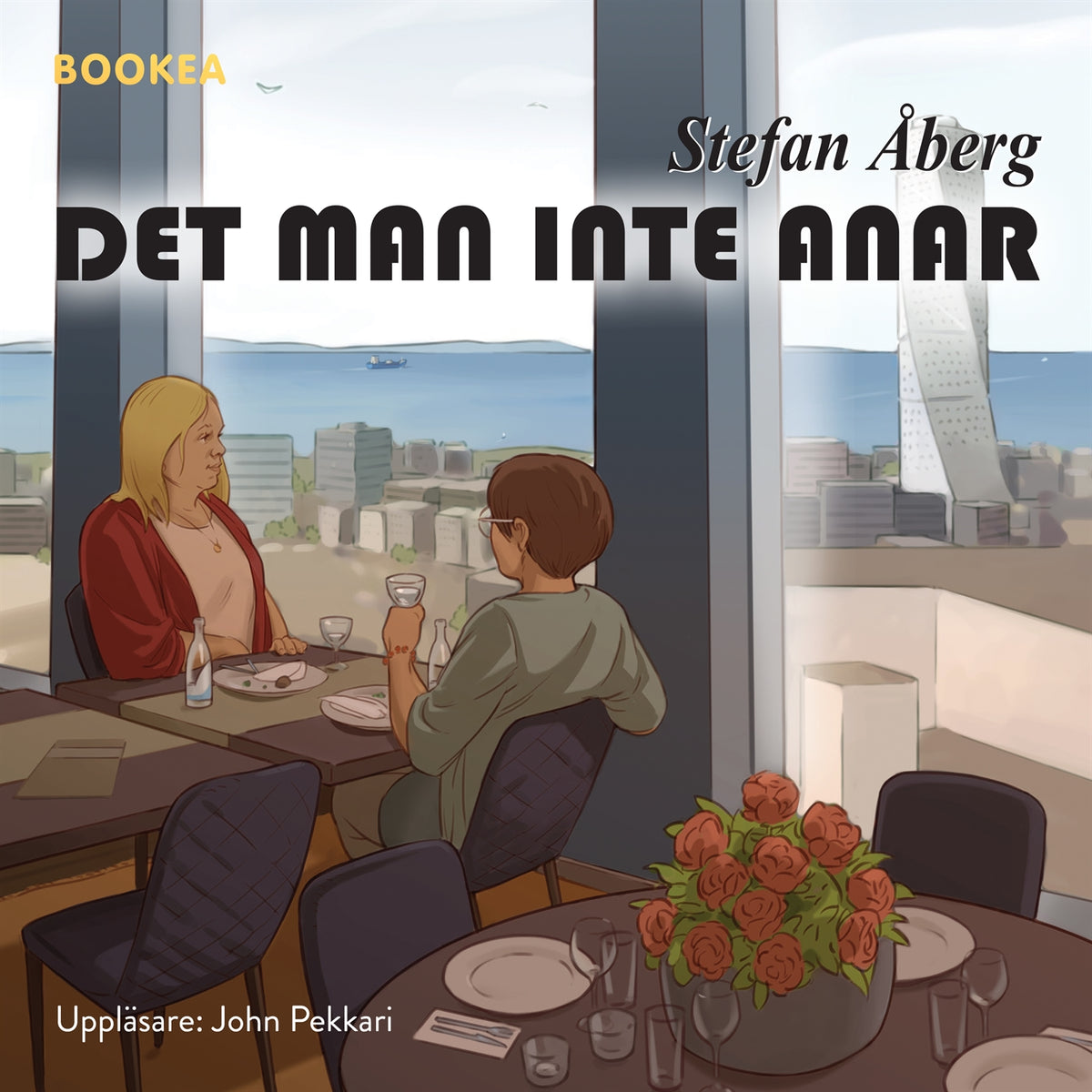 Det man inte anar – Ljudbok