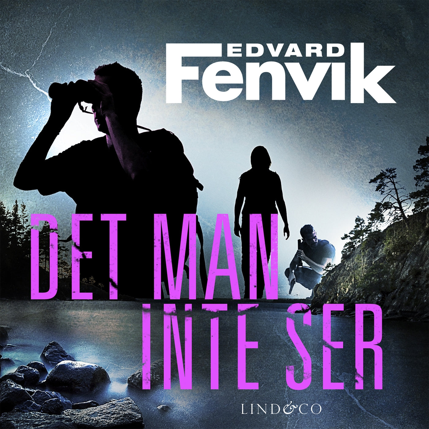 Det man inte ser  – Ljudbok