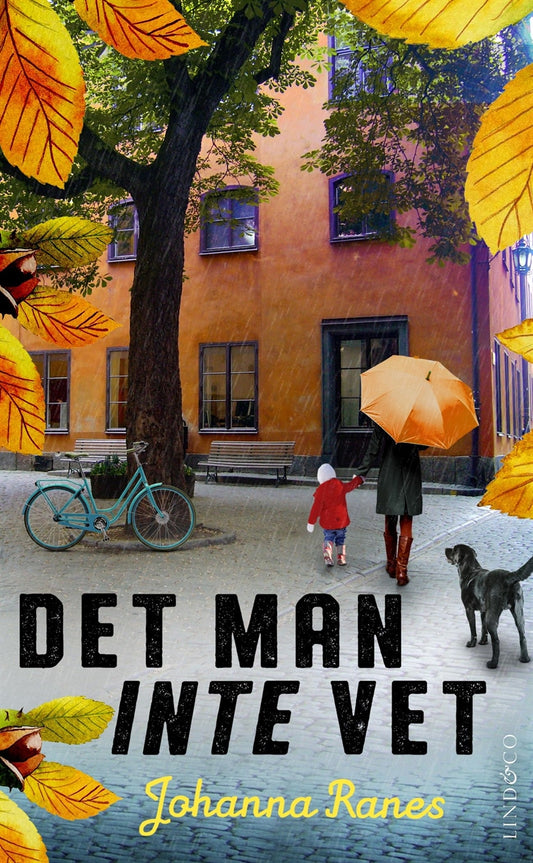 Det man inte vet – E-bok