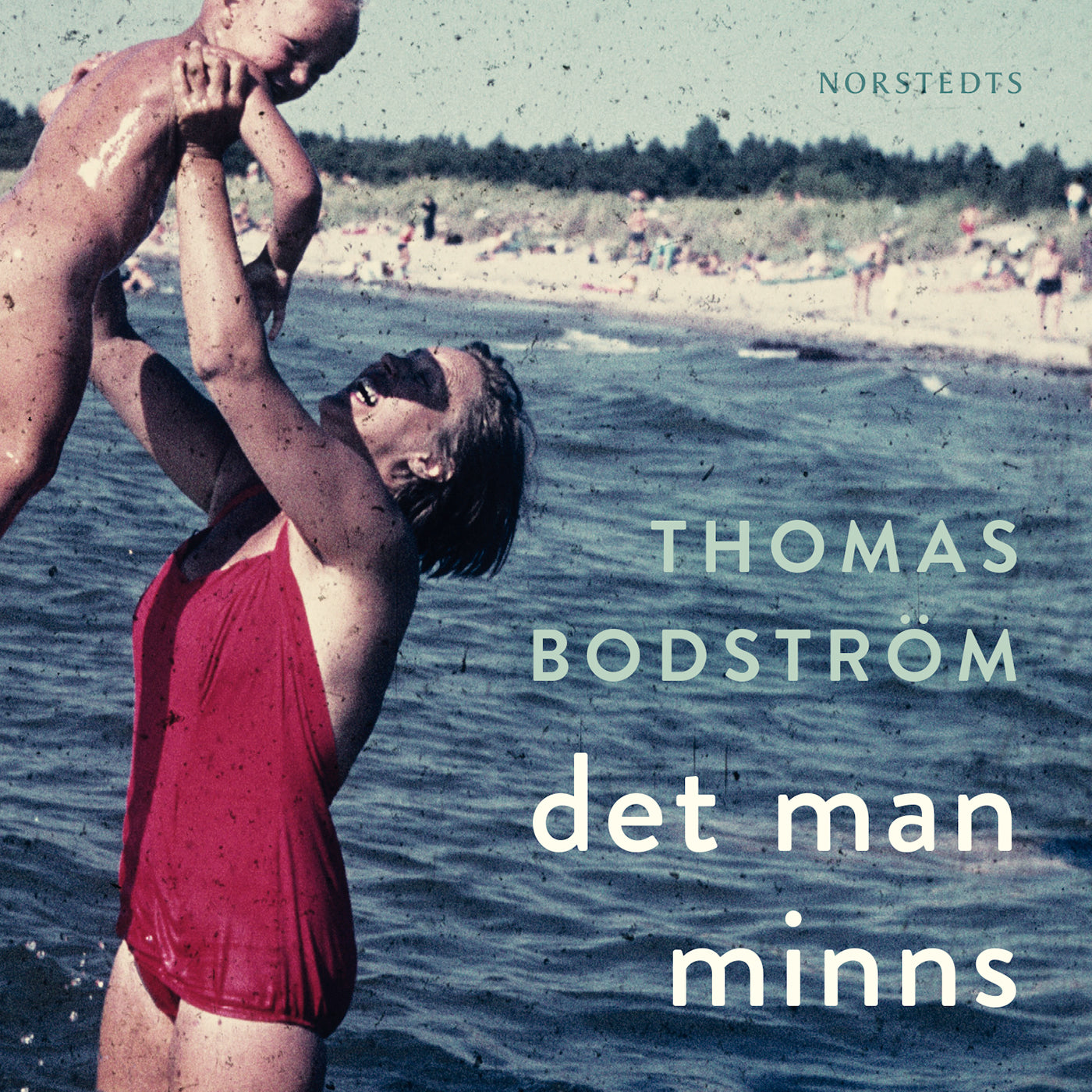 Det man minns – Ljudbok