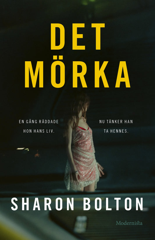 Det mörka – E-bok