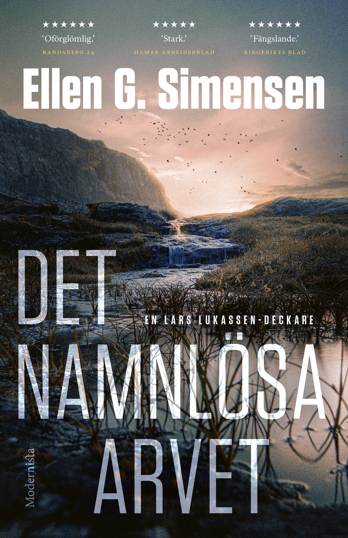 Det namnlösa arvet – E-bok