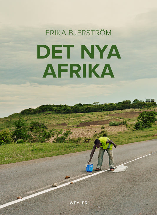 Det nya Afrika – E-bok
