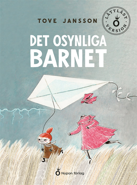Det osynliga barnet (lättläst) – E-bok