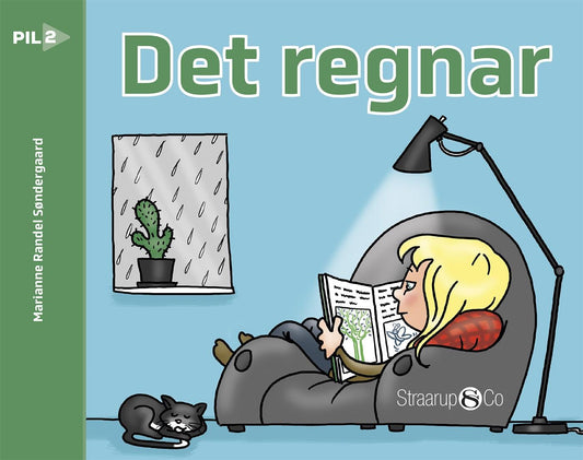 Det regnar! – E-bok