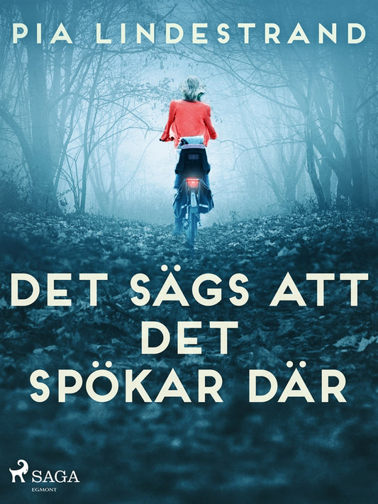 Det sägs att det spökar där – E-bok