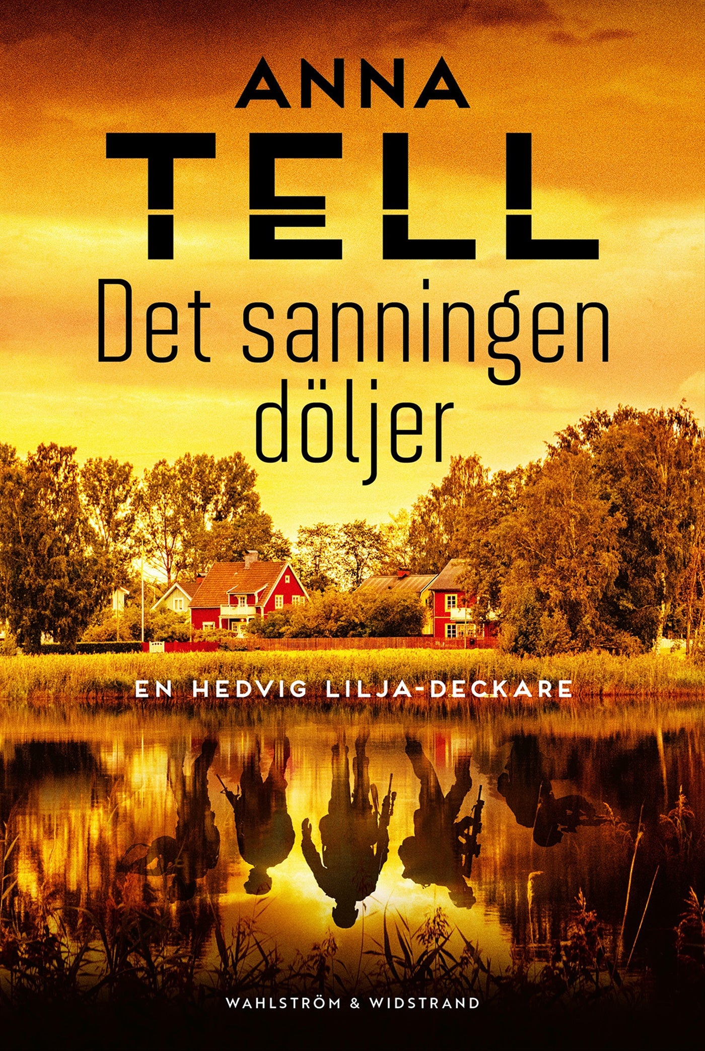Det sanningen döljer – E-bok