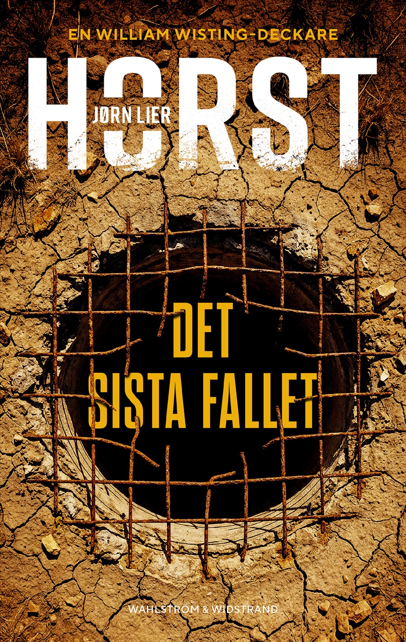 Det sista fallet – E-bok