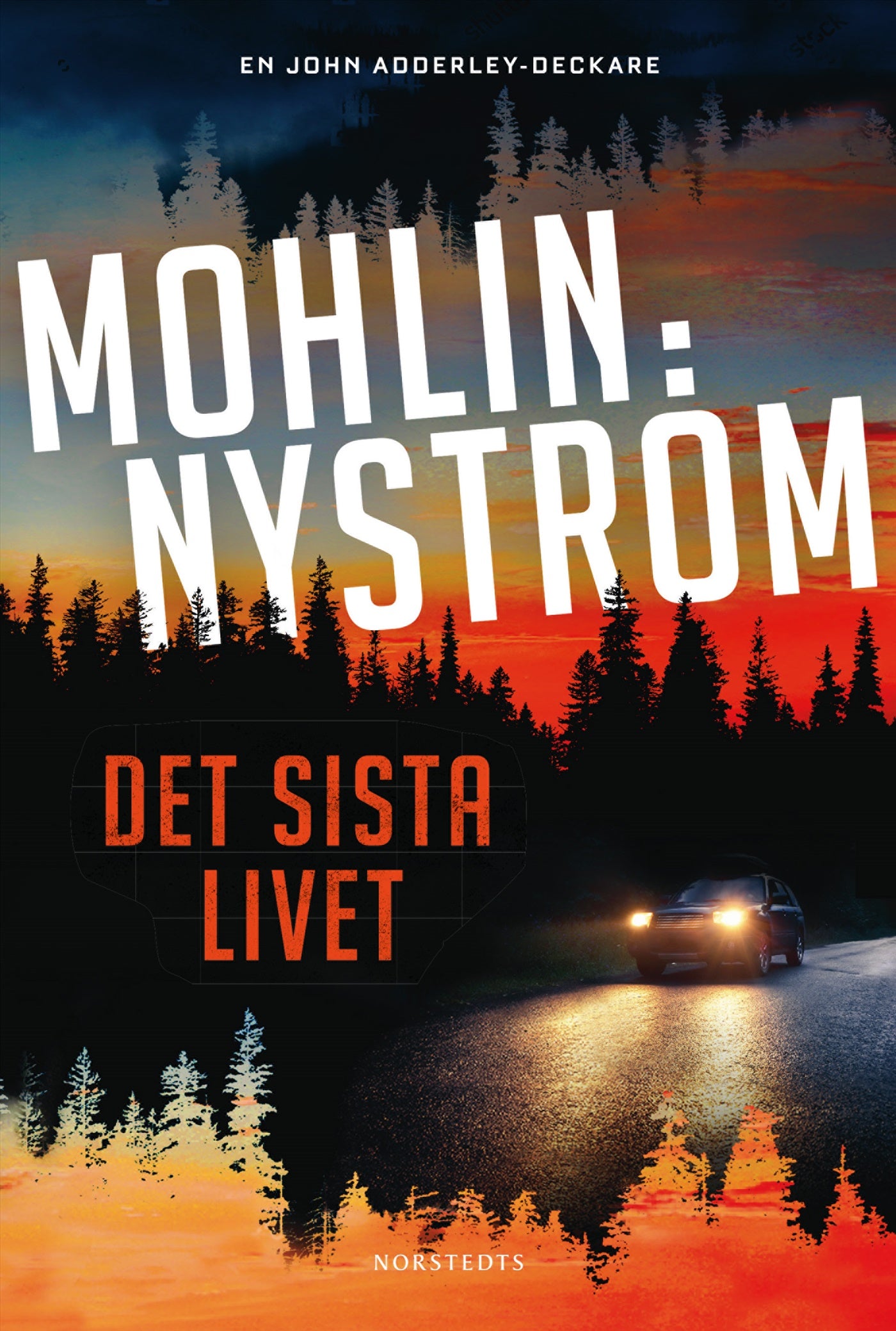 Det sista livet – E-bok