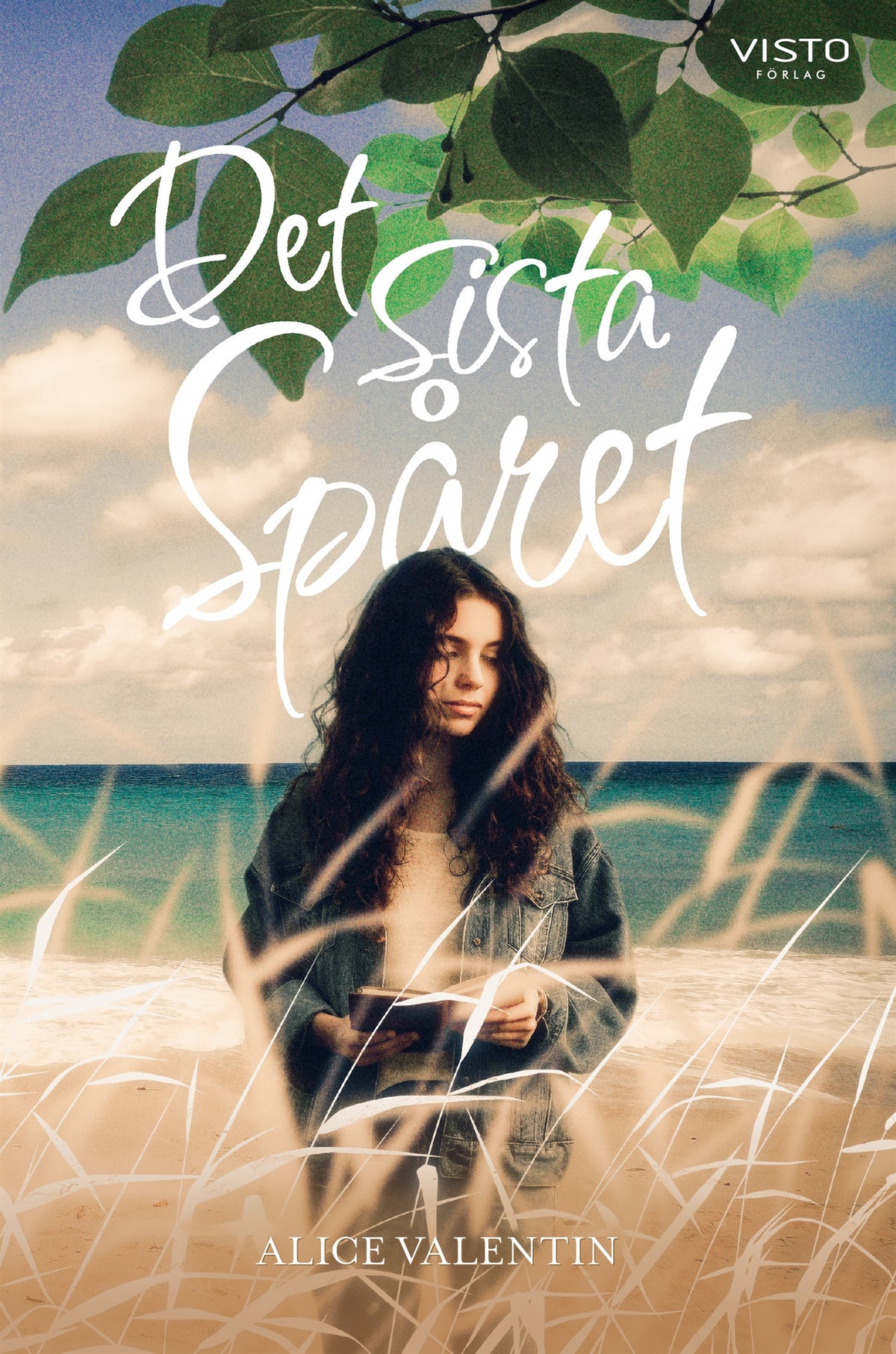 Det sista spåret – E-bok
