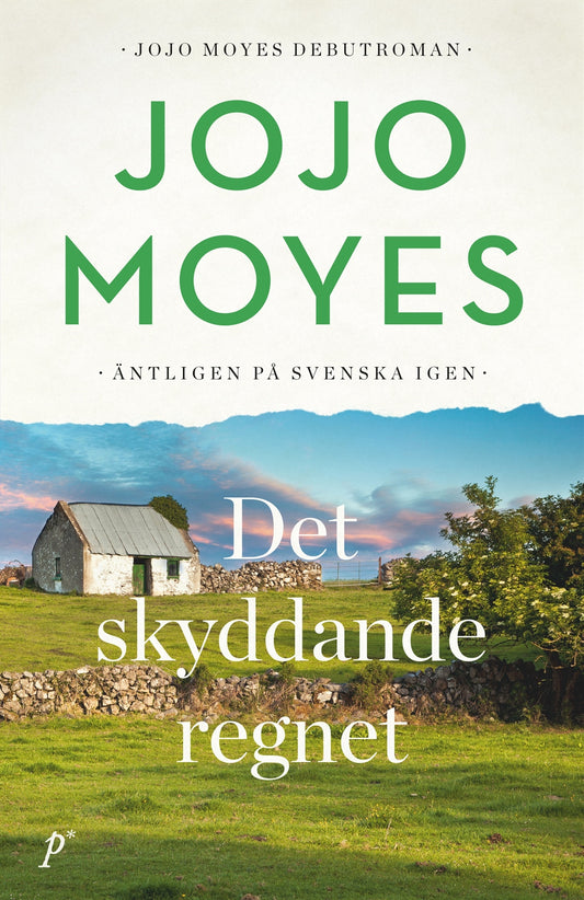 Det skyddande regnet – E-bok