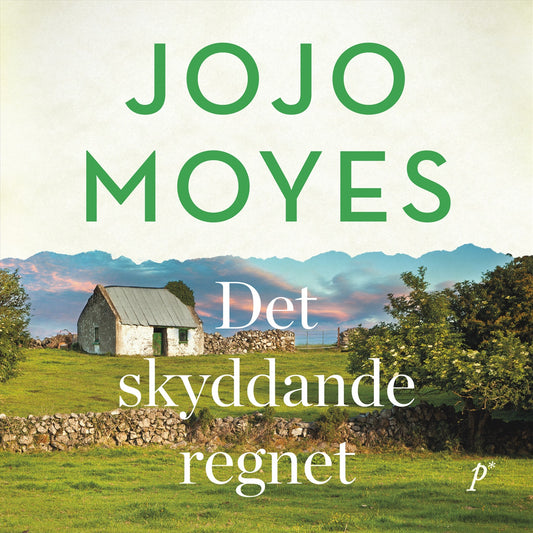 Det skyddande regnet – Ljudbok