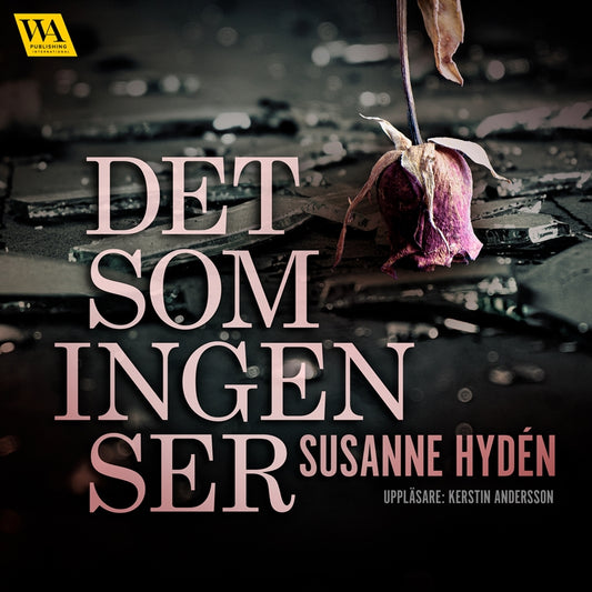 Det som ingen ser – Ljudbok