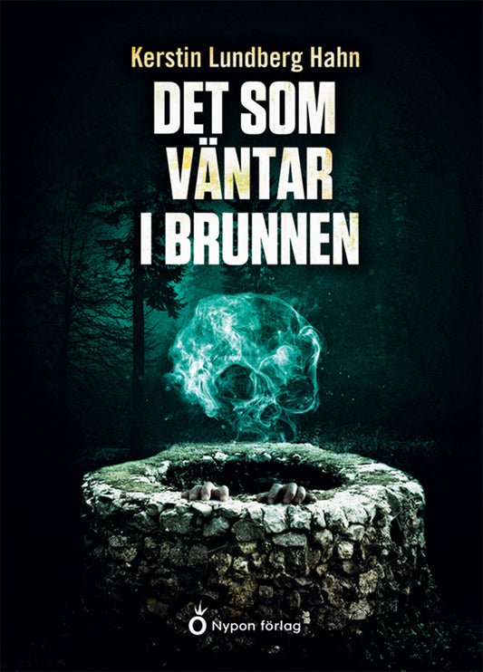 Det som väntar i brunnen – E-bok